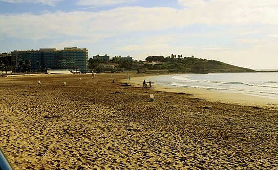 Alquiler vacacional en La Pineda: casas, pisos y apartamentos