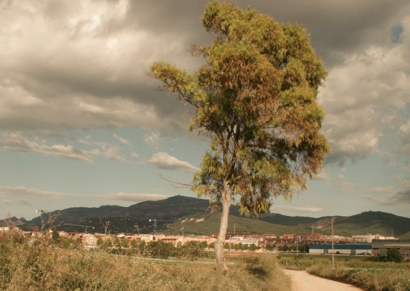 gestion de alquiler vacacional castellar del valles