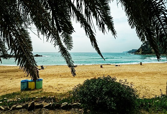 MasterGuest: Gestión de alquileres turísticos en la Costa Brava